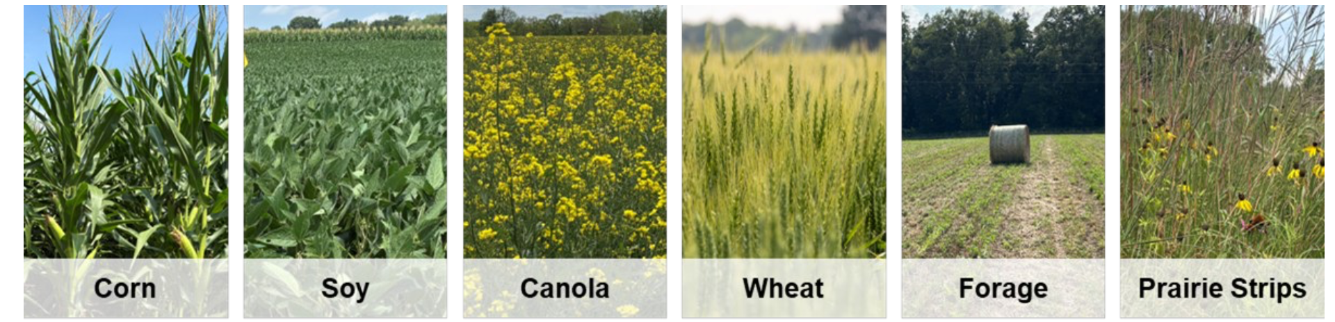 Screenshot 2026-01-21 at 11.36.26 AM.png